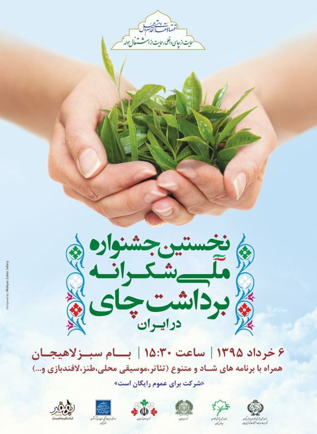 6 خرداد،نخستین جشنواره ملی شکرانه برداشت چای در لاهیجان بر پا می شود