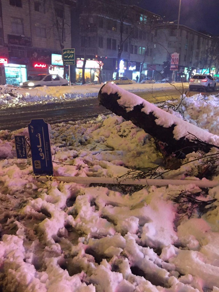 photo_2017-02-13_07-38-15