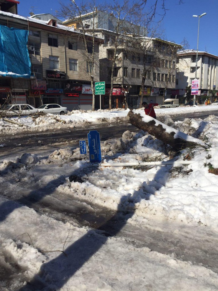 photo_2017-02-13_07-40-27