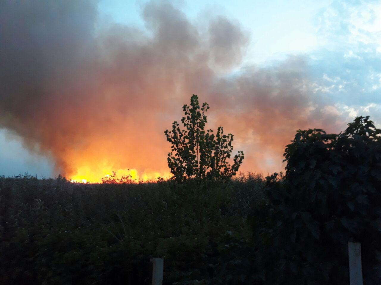 ۷۰ هکتار از اراضی تالاب انزلی در آتش سوخت/دو متخلف دستگیر شدند