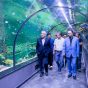 اختصاصی/بزرگترین پروژه آکواریوم و باغ خزندگان ایران تیر ماه امسال در منطقه آزاد انزلی افتتاح می شود