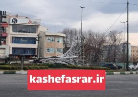 اختصاصی / توسط عده ای ؛ المان ” درخت نور میدان سر گل رشت بر اثر حریق از بین رفت