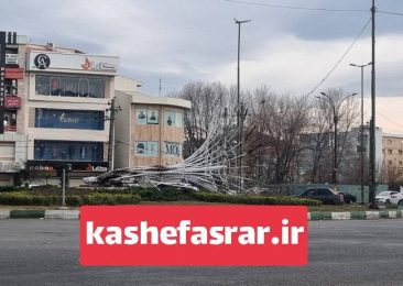 اختصاصی / توسط عده ای ؛ المان ” درخت نور میدان سر گل  رشت بر اثر حریق از بین رفت