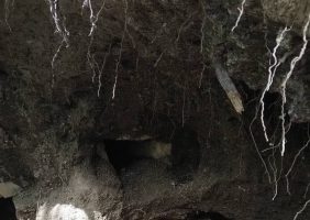 اختصاصی / نگرانی‌ ها درباره وضعیت حفاظت از گورستان تاریخی ماسال / مطالبه شفاف‌ سازی از فرماندار ، نمایندگی میراث فرهنگی و یگان حفاظت درباره وضعیت محوطه‌ های تاریخی