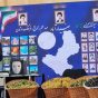 اختصاصی / شهرام احمد پور جیرندهی ” معاون سیاسی استاندار قزوین در نخستین جشنواره گردوی ضیاء آباد : رنج مقدس باغ داران ضیاء آباد مایه رونق  معیشت و ارتقای اعتبار اقتصادی کشور است